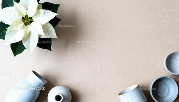 Minimalist white poinsettia with ceramic vessels on beige