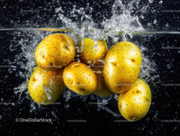 Yellow Potatoes Fresh Organic Vegetables on Black Background