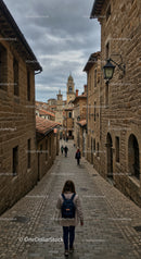 Scenic Urban View of Historic Cobblestone Street in European Town