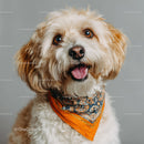 Portrait of a Happy Fluffy Dog Wearing a Colorful Bandana