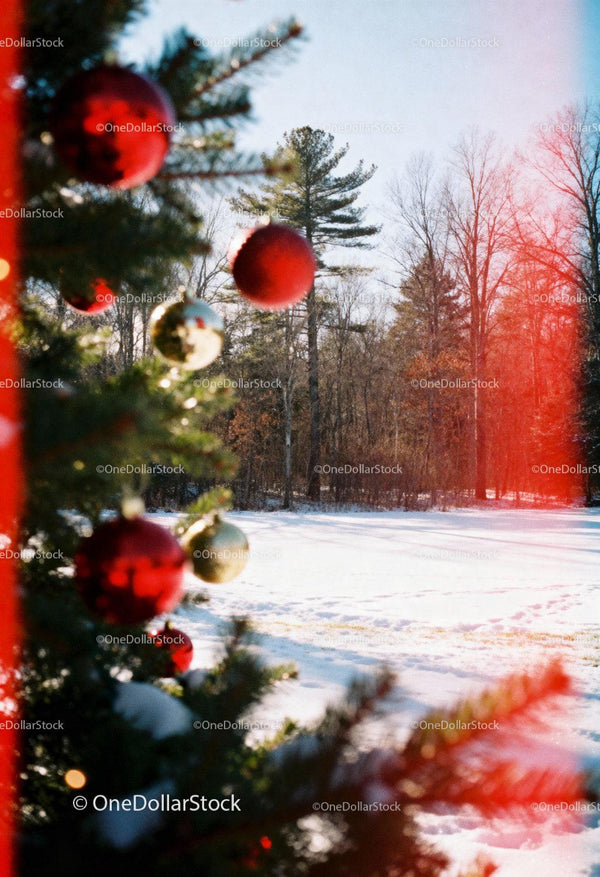 Festive Christmas tree with red baubles in snowy forest