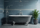 Classic bathtub with chrome feet in stylish blue bathroom