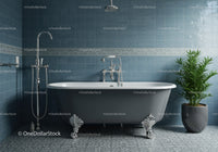 Classic bathtub with chrome feet in stylish blue bathroom