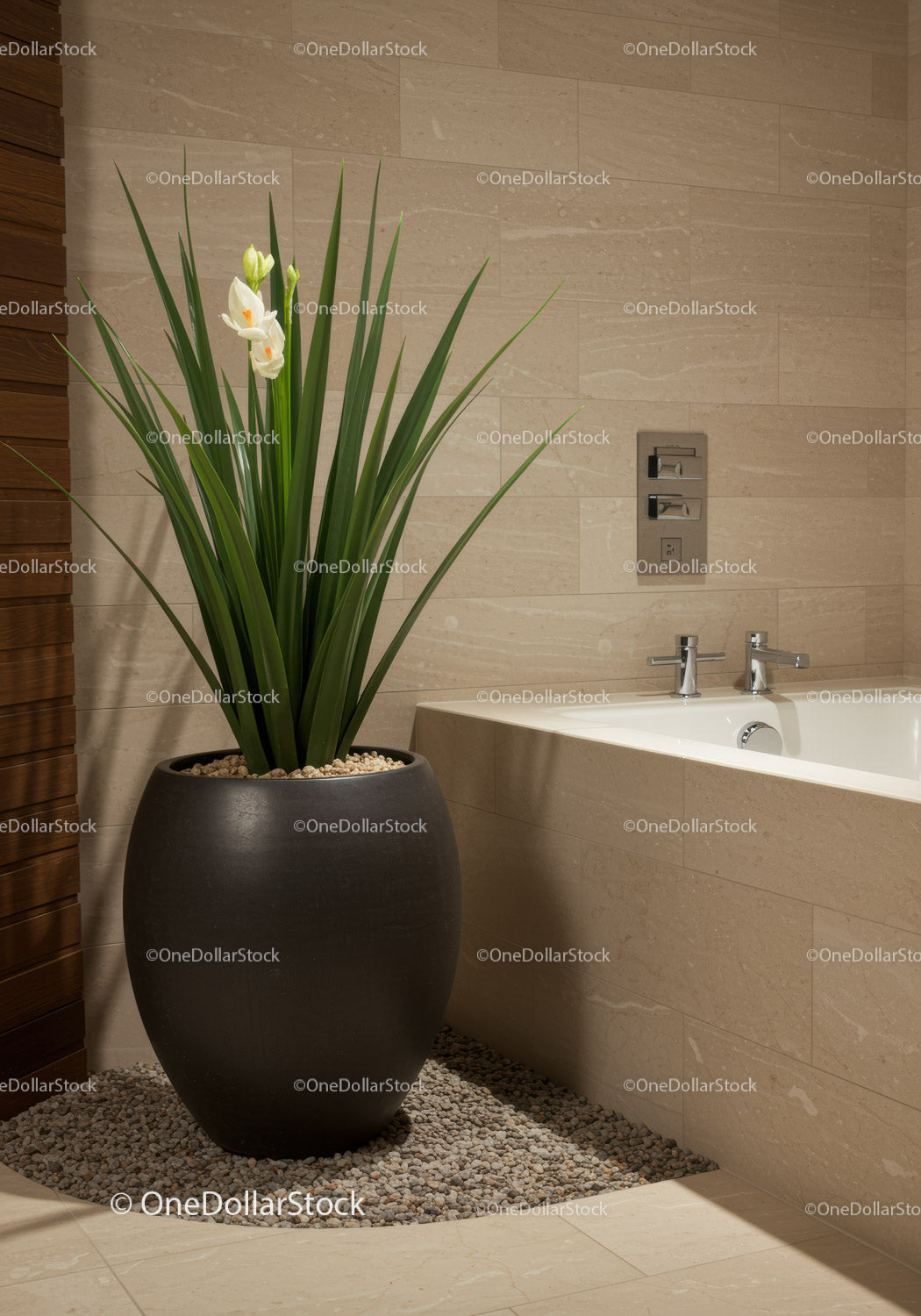 Elegancka roślina doniczkowa w dużej, czarnej, ceramicznej doniczce w nowoczesnej łazience