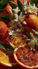 Fresh Citrus Fruits and White Flowers with Ice Cubes for Summer Refreshing Flavor
