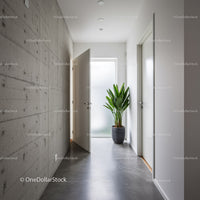 Bright Contemporary Hallway with Green Fiddle Leaf Fig Plant