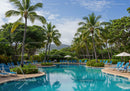 Tropical Pool with Palm Trees and Lounge Chairs in Sunny Garden