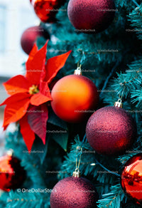 Close-up of festive Christmas tree with red decorations