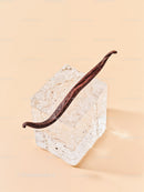 Vanilla Bean Pod Resting on Large Ice Cube