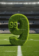 Green grass number nine with nine balls on soccer field