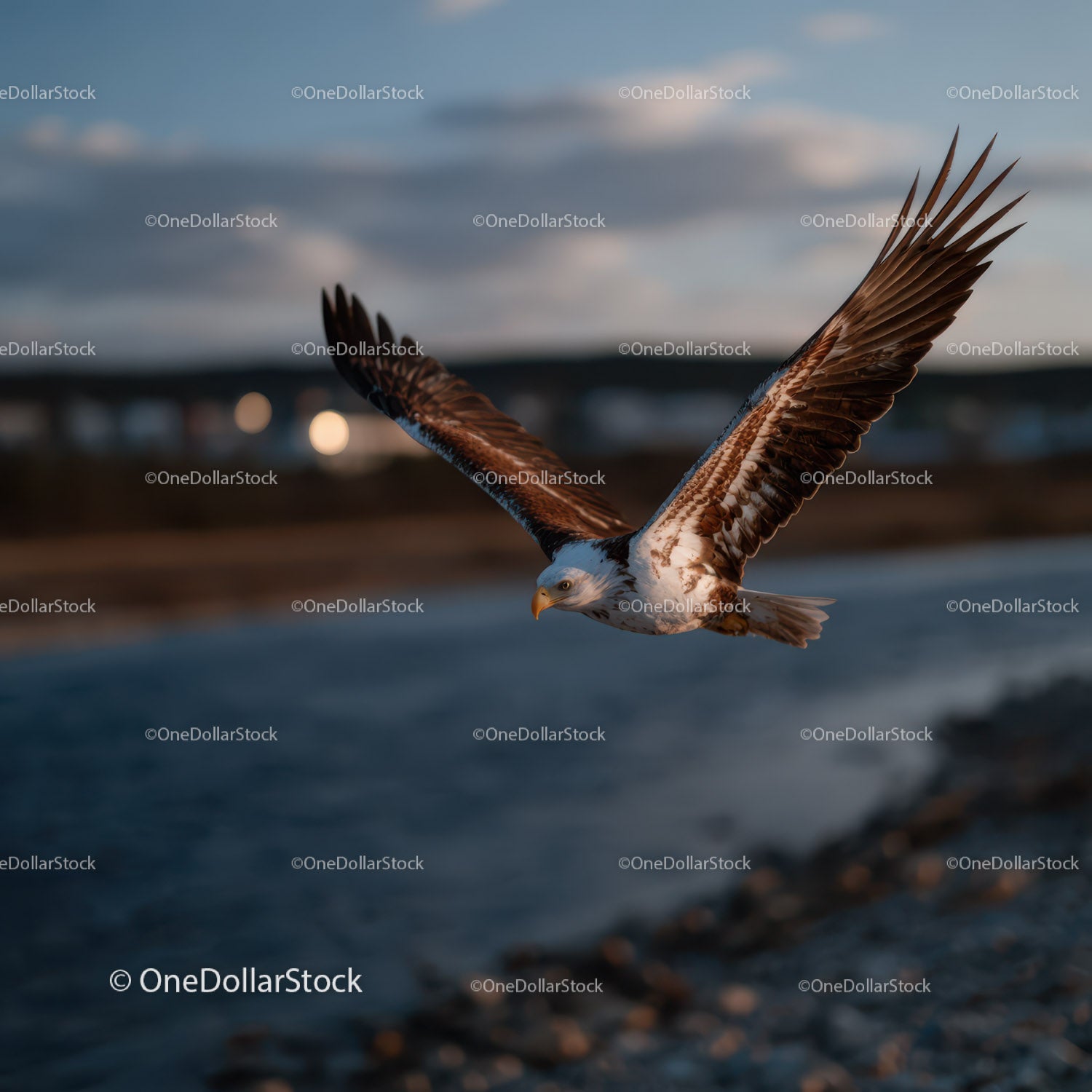 Majestic Bald Eagle in Flight Over Scenic Landscape