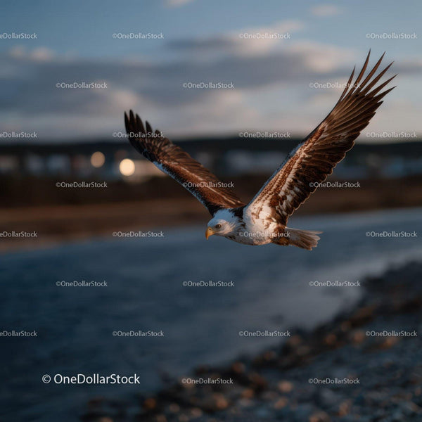 Majestic Bald Eagle in Flight Over Scenic Landscape