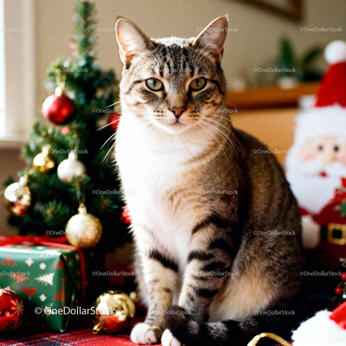 Content tabby cat sitting by decorated Christmas tree