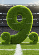Grass-covered number nine on sports field with crowd