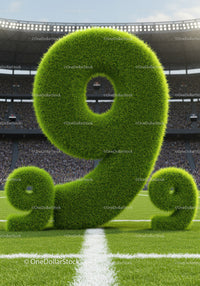 Grass-covered number nine on sports field with crowd
