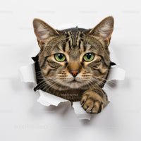 Curious Tabby Cat Peeking Through Torn Paper Hole