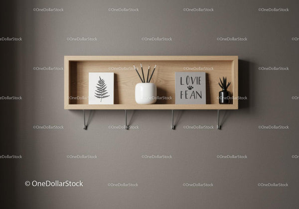 Elegant Wooden Wall Shelf with Modern Decor and Plants