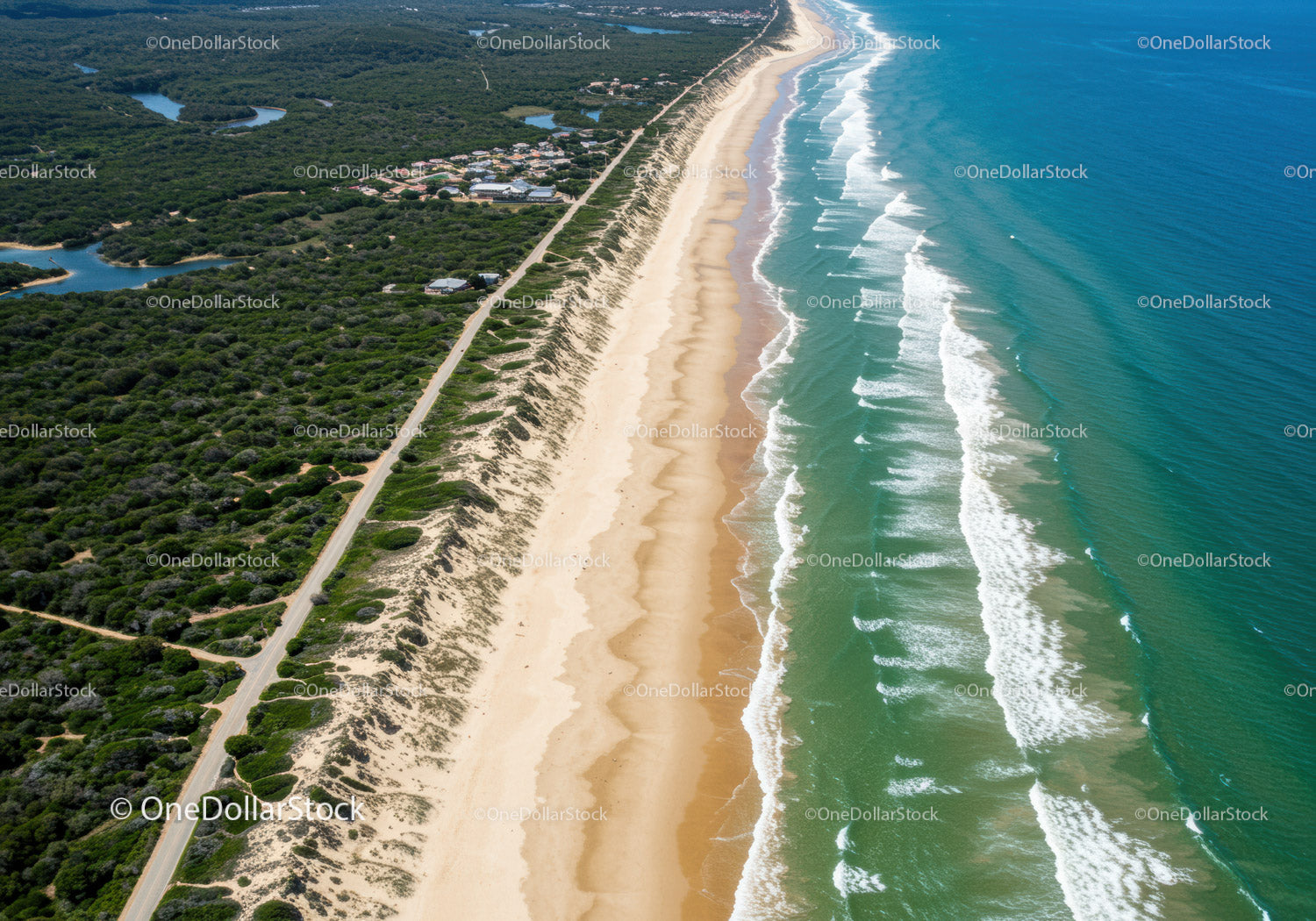 Scenic Coastal Beach with Turquoise Waters and Lush Vegetation