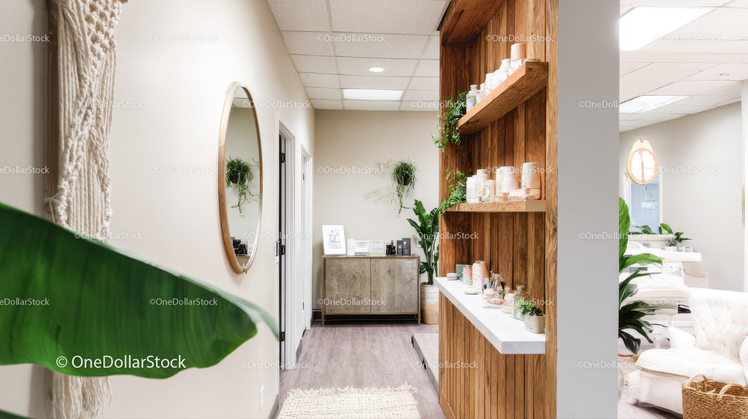 Nowoczesna recepcja Wellness z drewnianymi półkami i zielenią