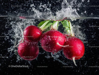 Fresh Red Radishes with Water Splash and Green Stems