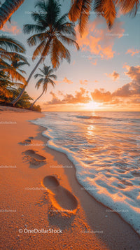 Sunset Over Tropical Beach with Palm Trees and Clear Ocean Water