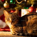 Tabby cat relaxing near decorated Christmas tree