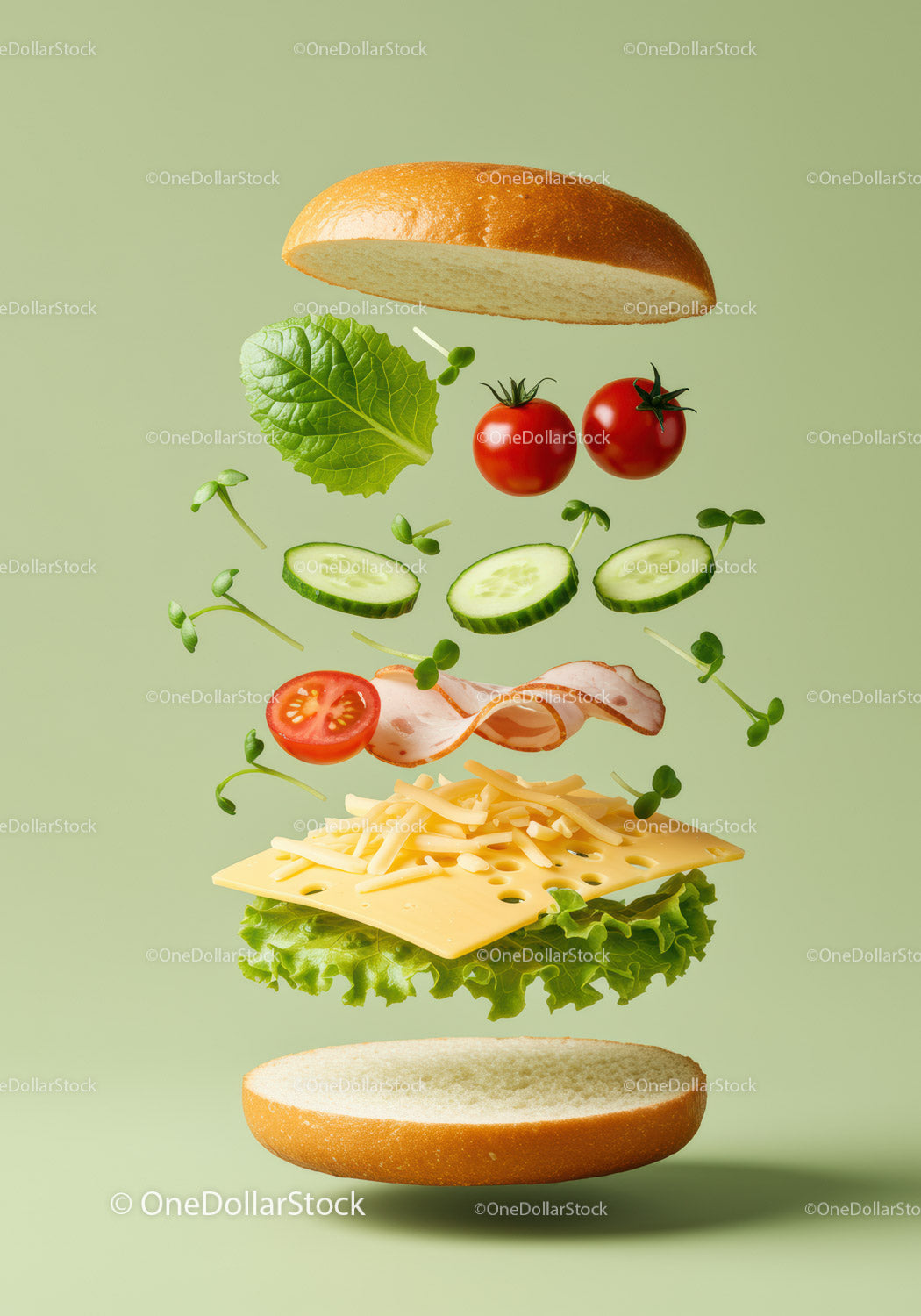 Deconstructed Fresh Vegetable and Turkey Sandwich Ingredients