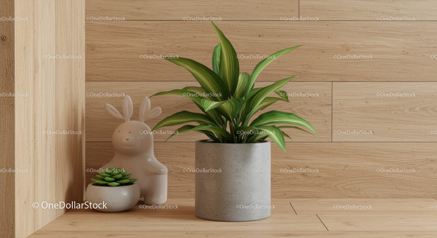 Green Dracaena Plant in Concrete Pot on Wooden Floor in Modern Interior