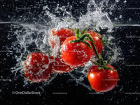 Juicy Red Cherry Tomatoes Splashing in Water for Freshness
