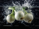 Fresh White Onions Splashing in Water Underwater Photography