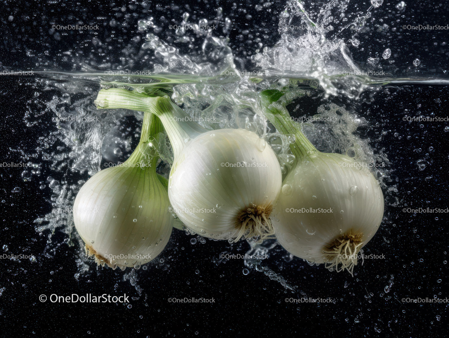 Fresh White Onions Splashing in Water Underwater Photography