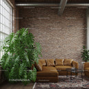 Modern Industrial Living Room with Leather Sofa and Large Green Plant