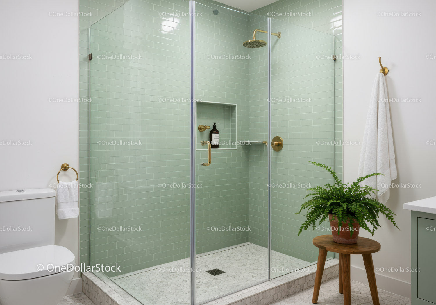 Modern bathroom with glass shower and greenery