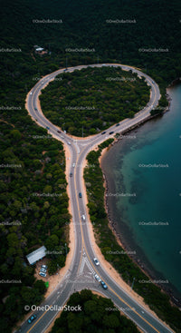 Winding Coastal Road Surrounded by Dense Forest and Ocean Shoreline
