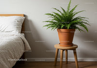 Eye-catching Fern Plant in Terracotta Pot on Wooden Stool in Cozy Bedroom