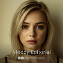 Moody Editorial Lightroom presets cover preview
