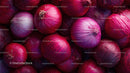 Fresh Red Onions in Close-Up for Culinary or Market Use
