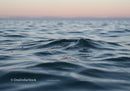 Tranquil Blue Ocean with Gentle Waves and Distant Horizon