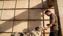 Man feeding treat to Australian Shepherd dog outdoors