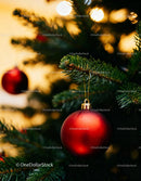 Red Christmas Ornament Hanging on Pine Tree Branch