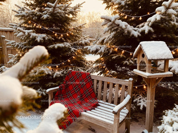 Snowy backyard bench with cozy red plaid blanket