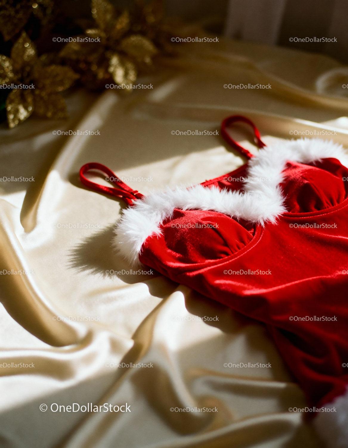 Festive Red Velvet Lingerie with White Fur Trim