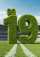 Grass-covered number 19 on stadium field with sunny sky