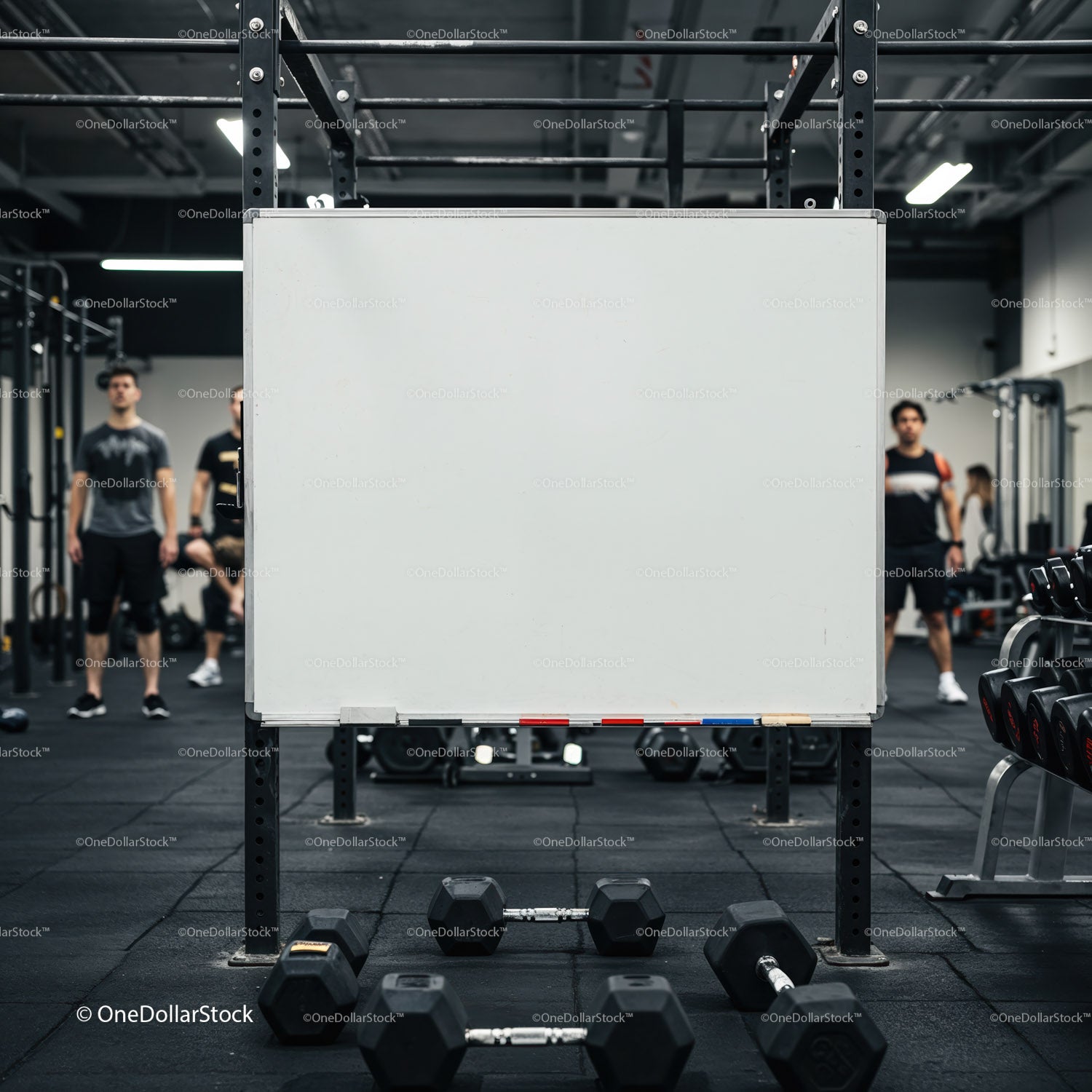 Empty whiteboard in gym with dumbbells and athletes