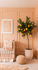 Peach Wall Nursery with Lemon Tree and Cozy Decor