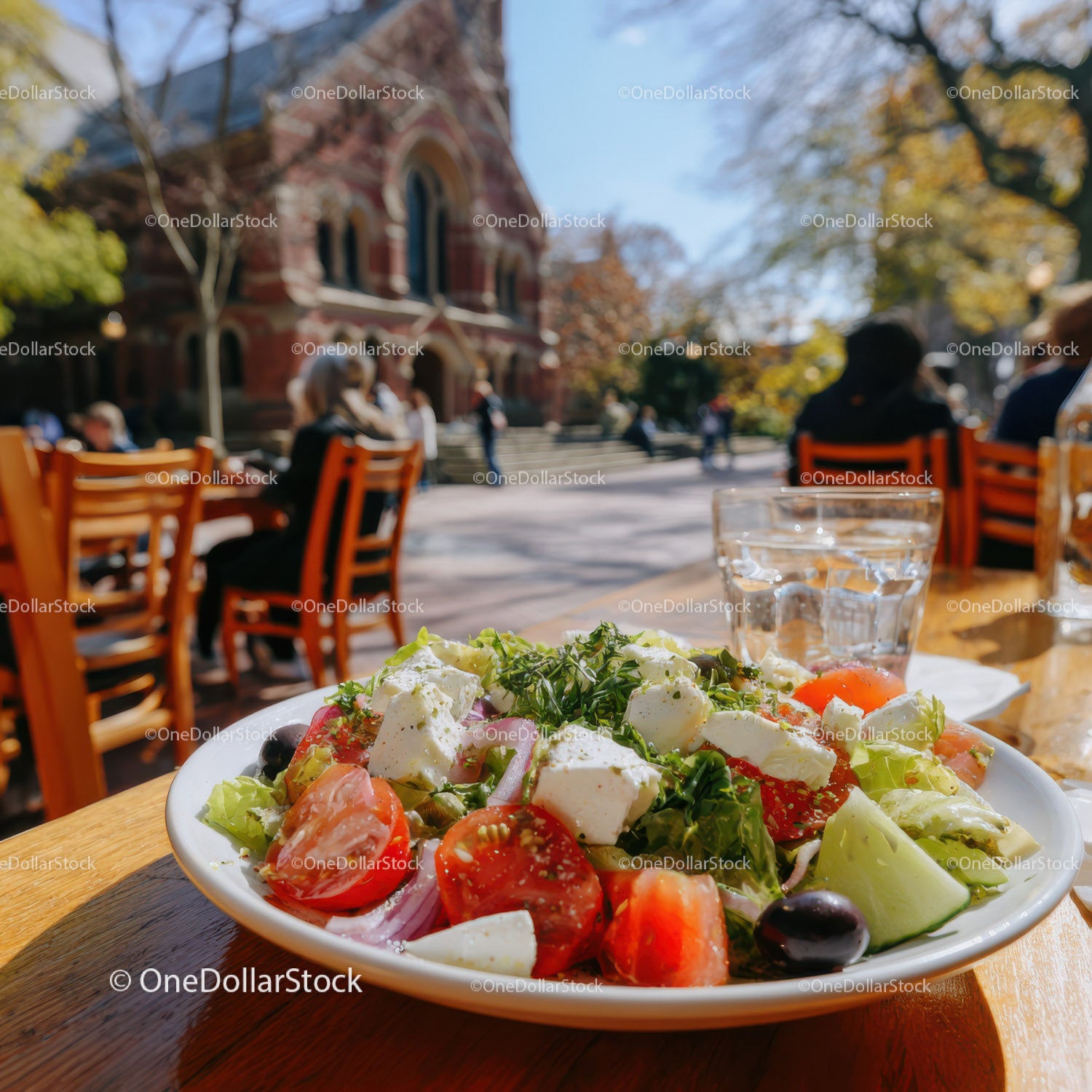 Fresh Vegetable Salad with Cherry Tomatoes and Feta Cheese at Outdoor Cafe