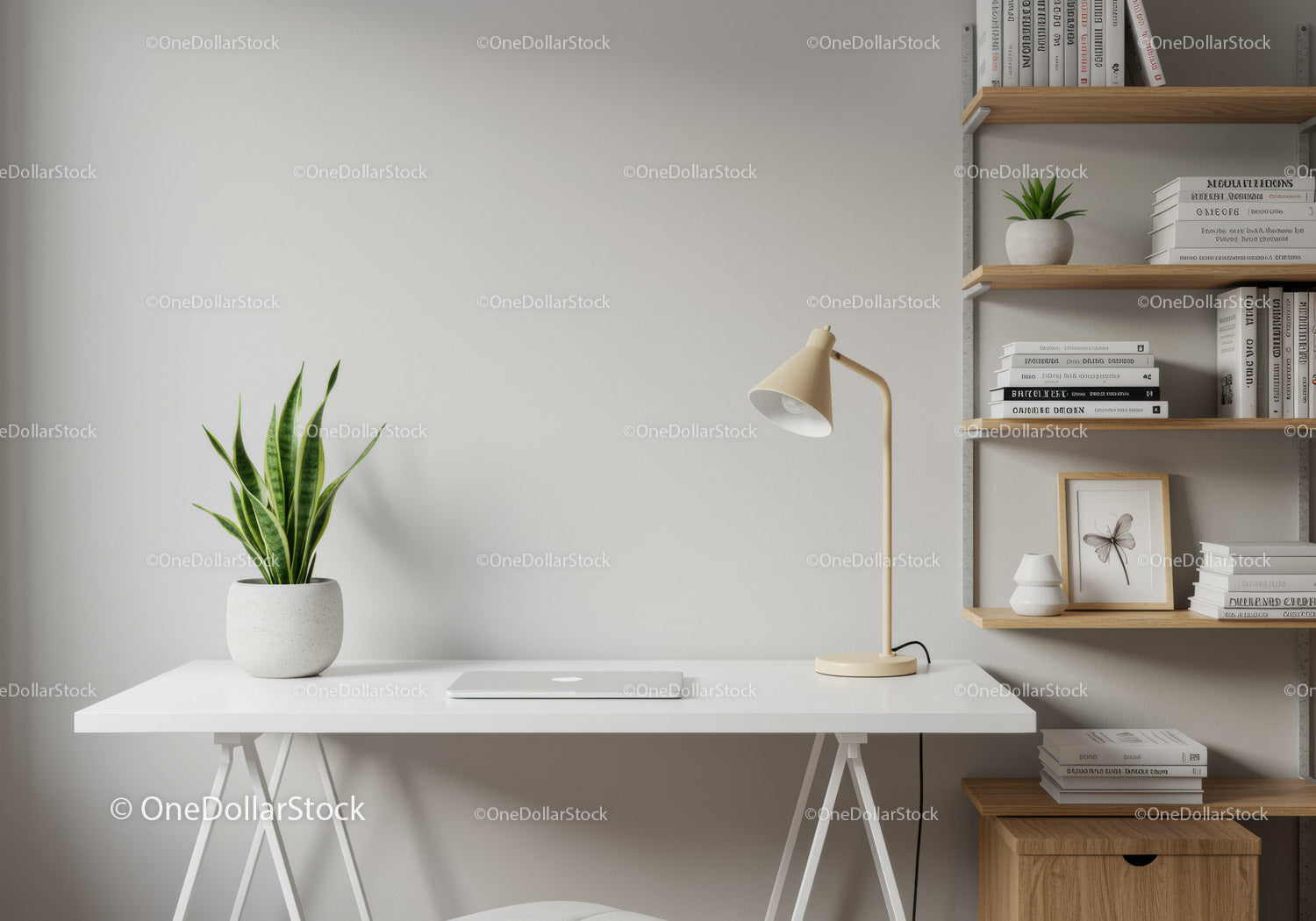 Nowoczesne, minimalistyczne biuro domowe z rośliną wężownicy i drewnianą półką