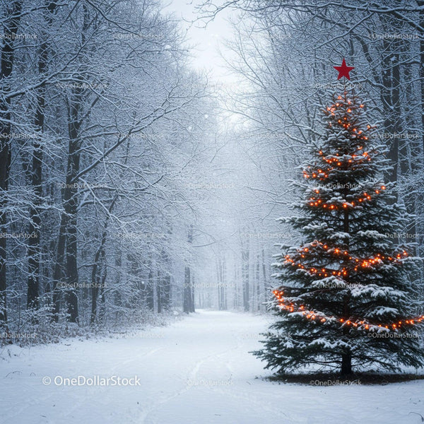 Snowy Forest Path with Decorated Christmas Tree