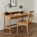 Modern Wooden Home Office Desk with Green Plant and Laptop