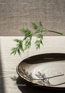 Fresh dill casting delicate shadow over ceramic plate